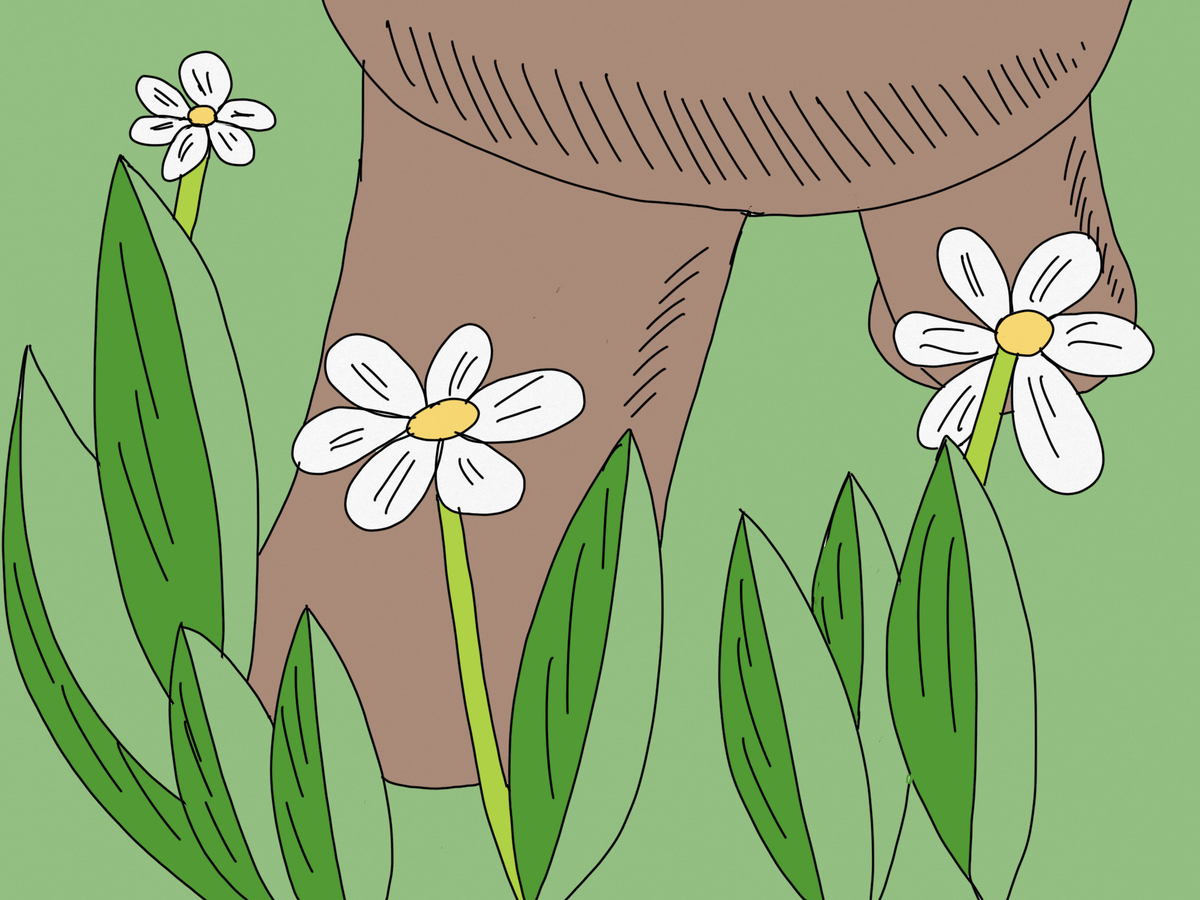 Медвежонок гуляет по полю с ромашками