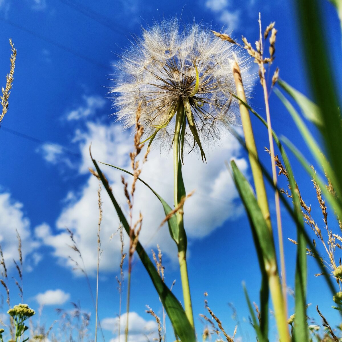 Просто красиво 