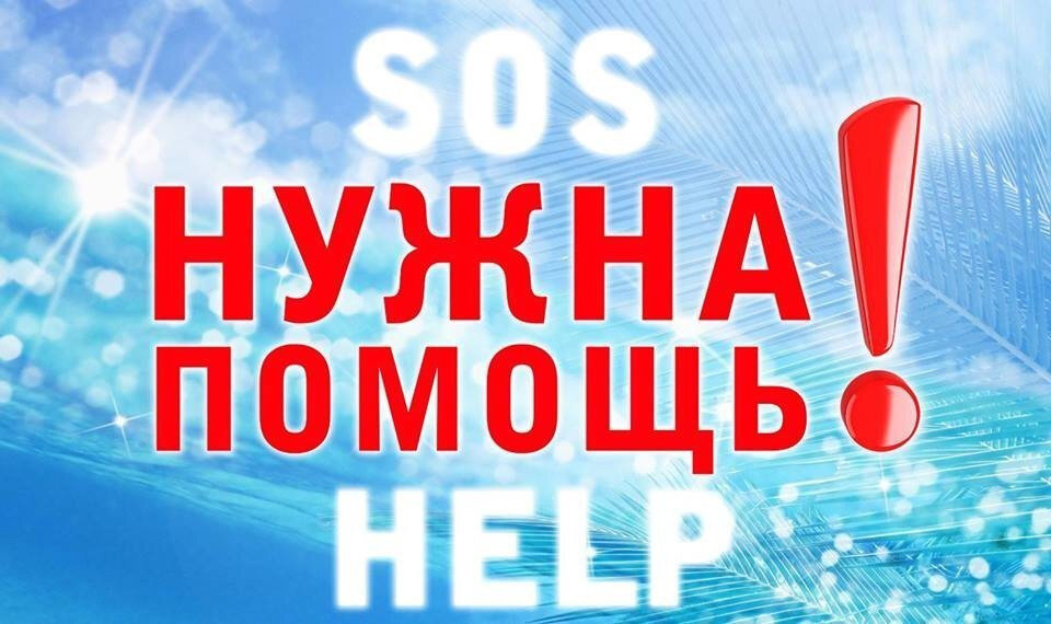 Картинка из интернета.