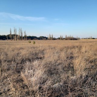 Осень 2020 год. Место куда мы приехали копать