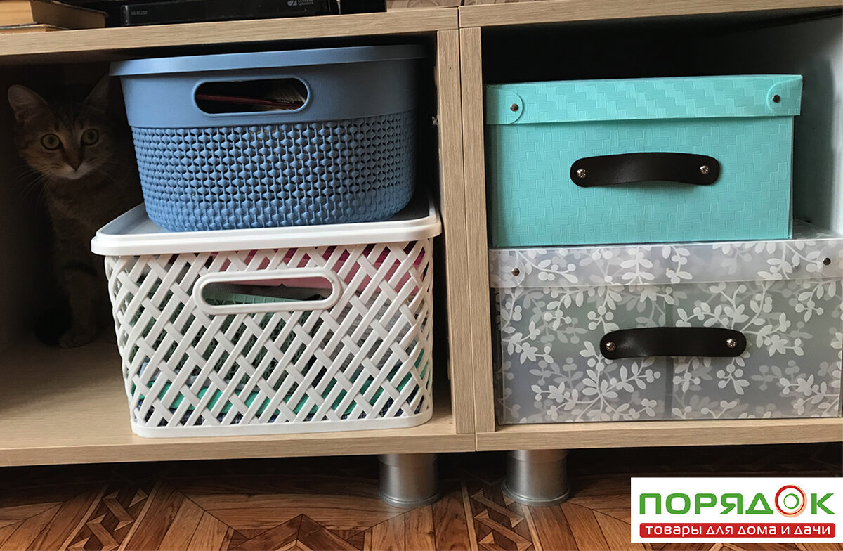 Василиса в печали! Теперь ей не добраться до интересных штучек хозяйки(((