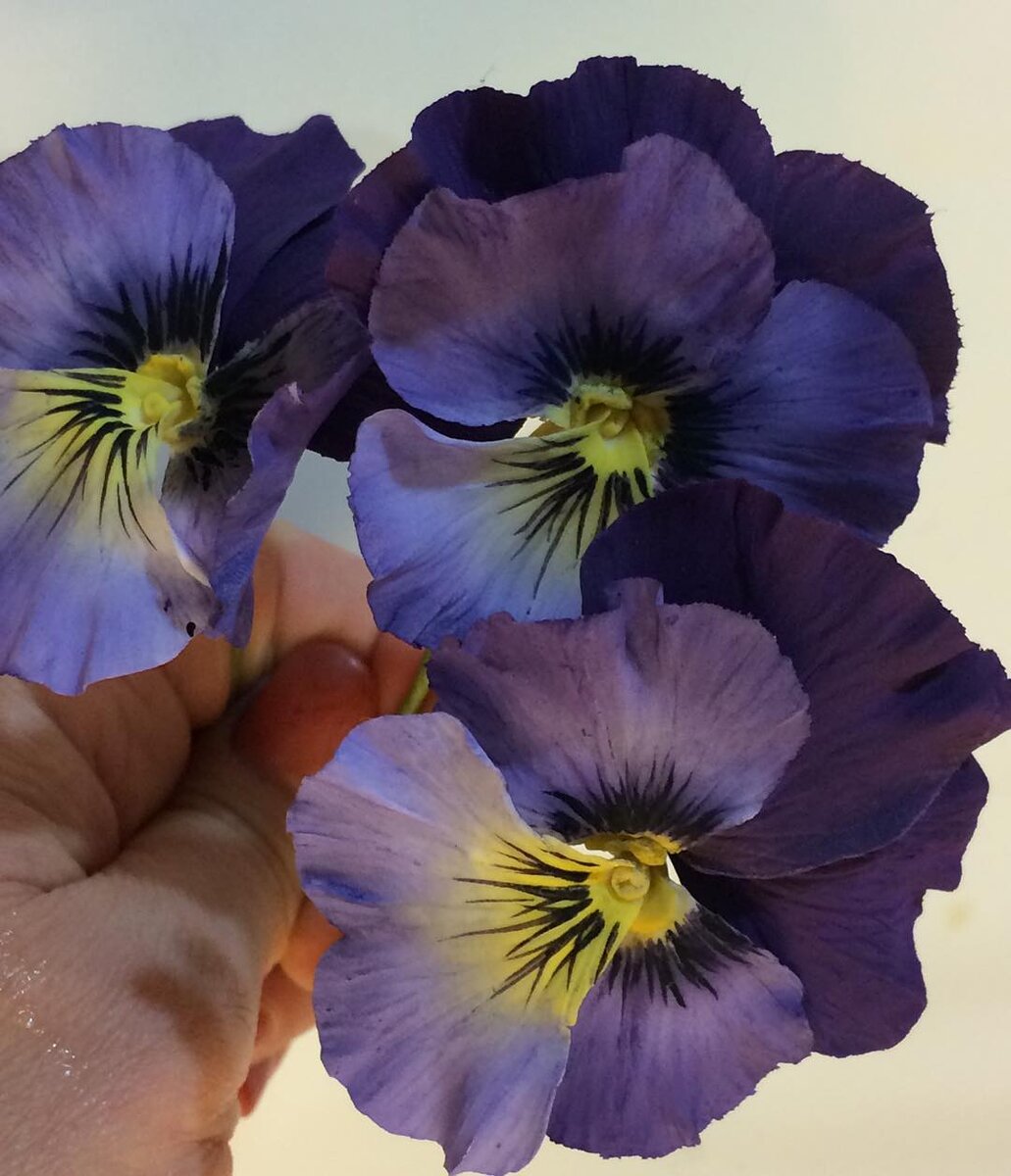 Фото https://www.instagram.com/p/9z8KEHlUUd/