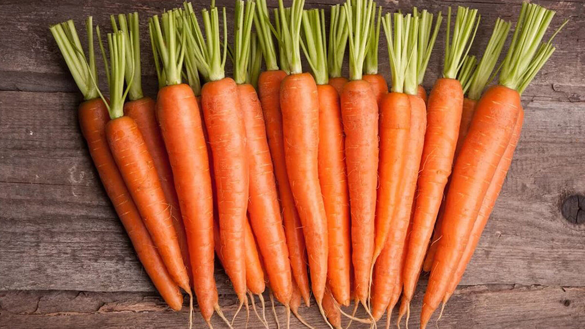 Морковка картинки