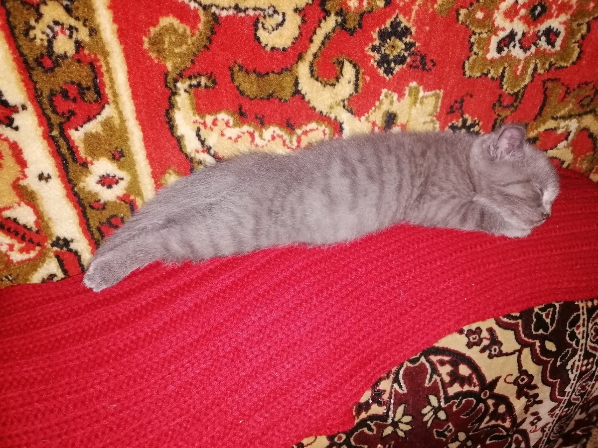 А у нас тихий час) первая неделя дома)