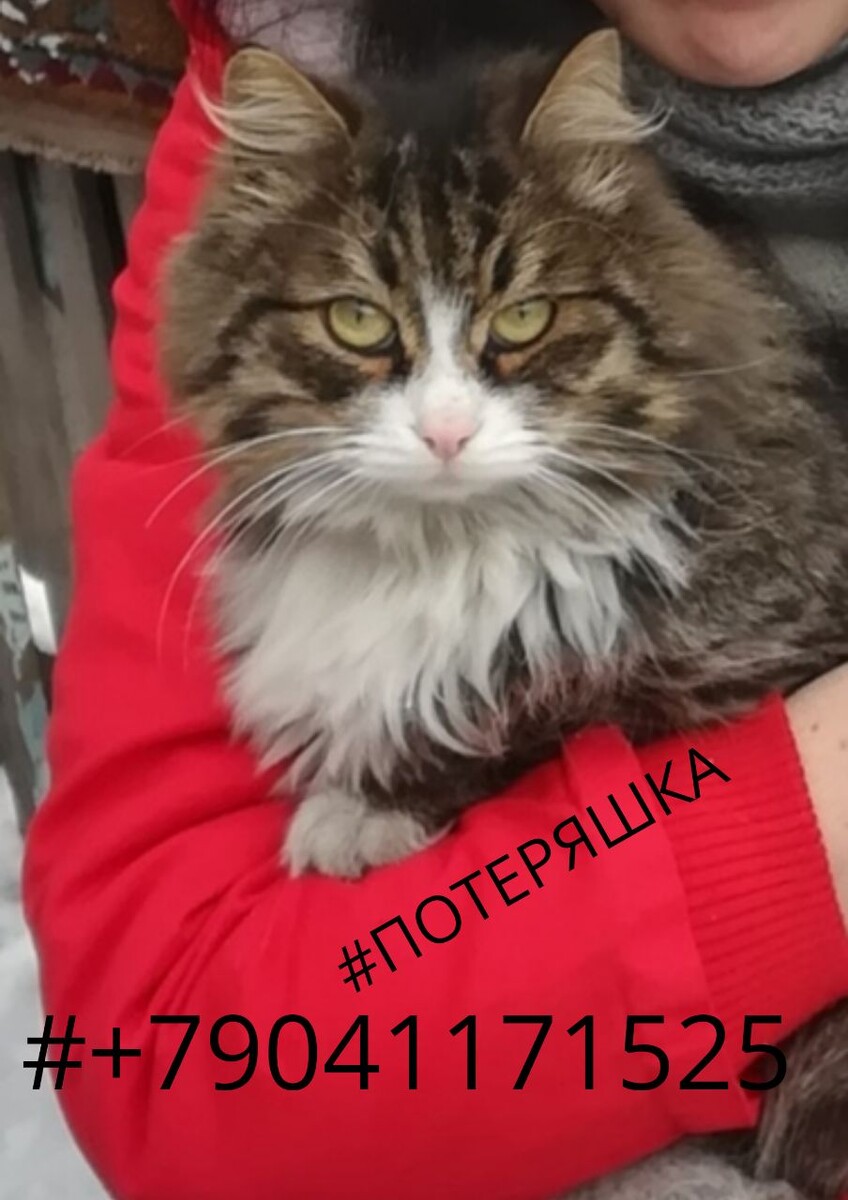 Бусик уже дома.