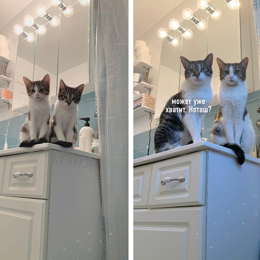 из открытых источников