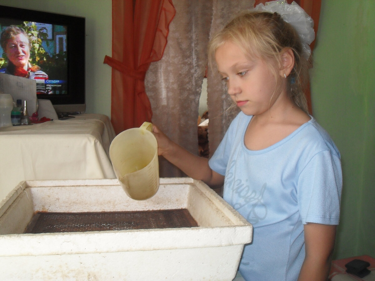 Фото автора Перед закладкой яиц на дно инкубатора наливаем тёплую воду. На дне есть специальные углубления для неё.