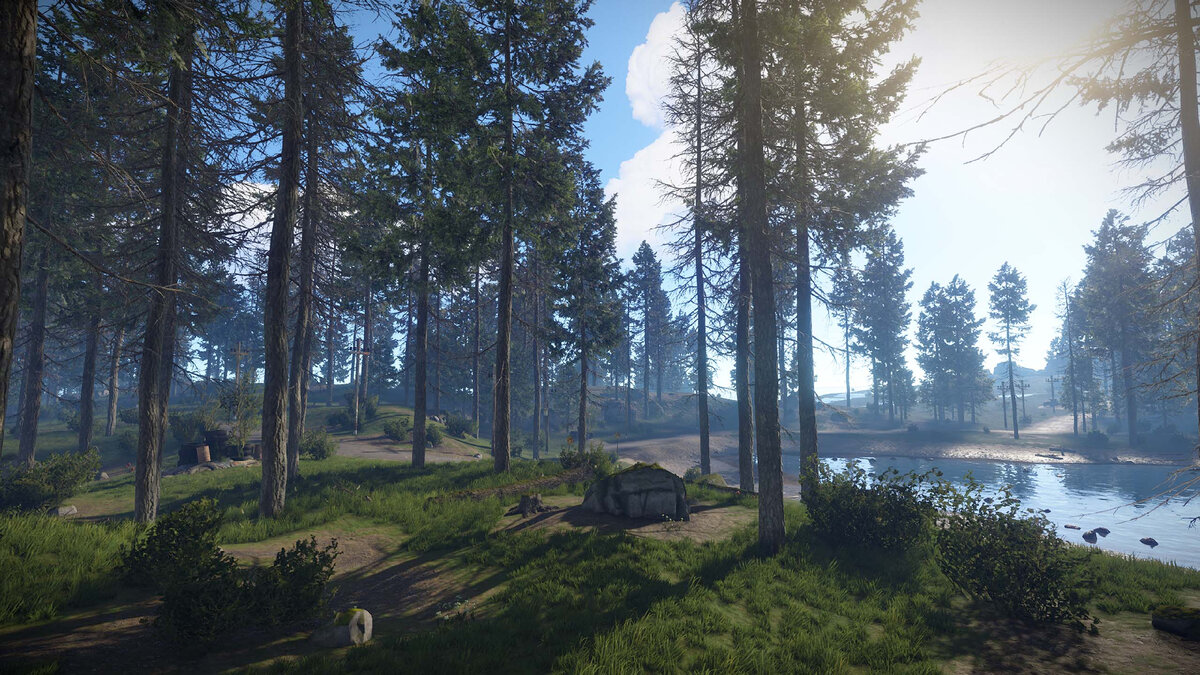 New rust