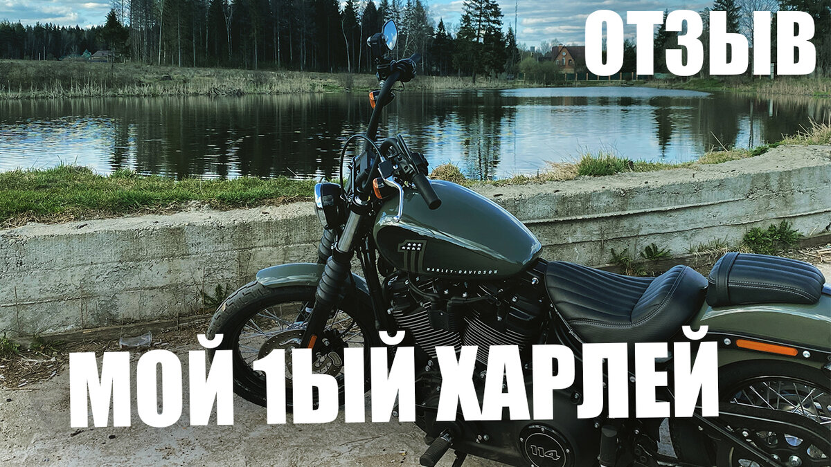 Harley Davidson 2021 Street Bob 114 DeadWood Green