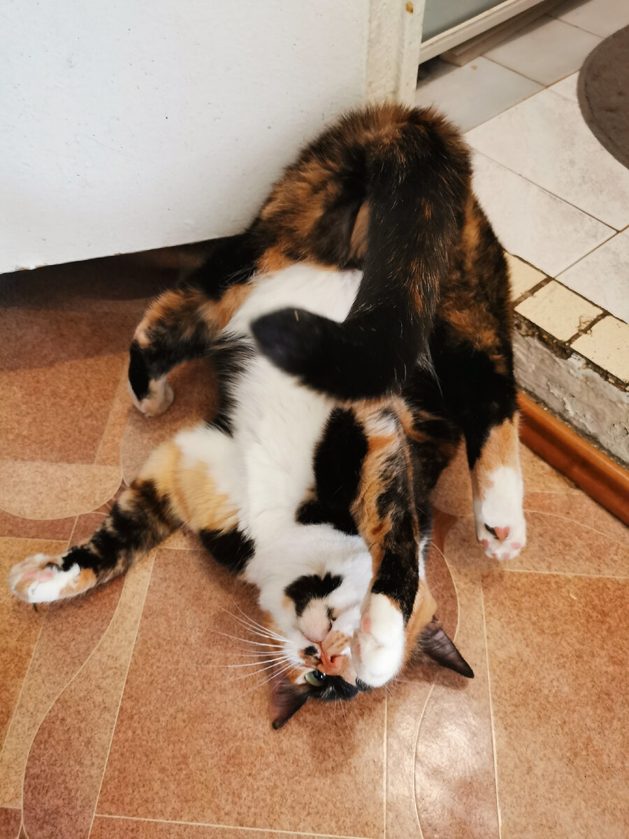 Смотри на мир под другим углом