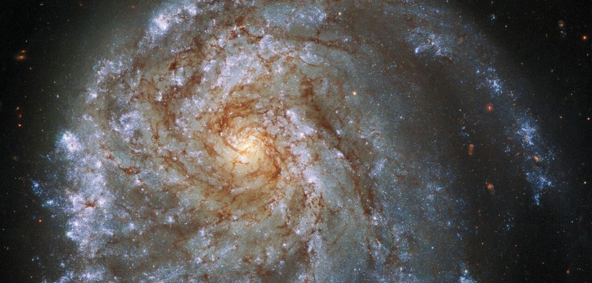 Крупный план спиральной галактики NGC 2276. © ESA/Hubble & NASA, P. Sell, L. Shatz 