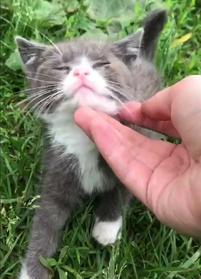 Еще на  улице