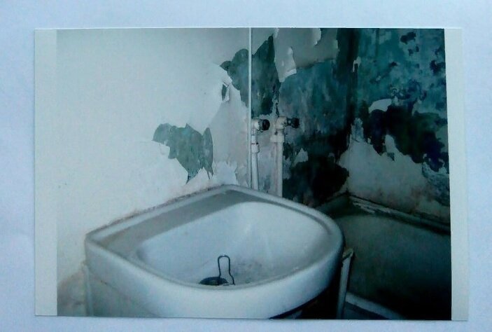 Фото предоставлено автором