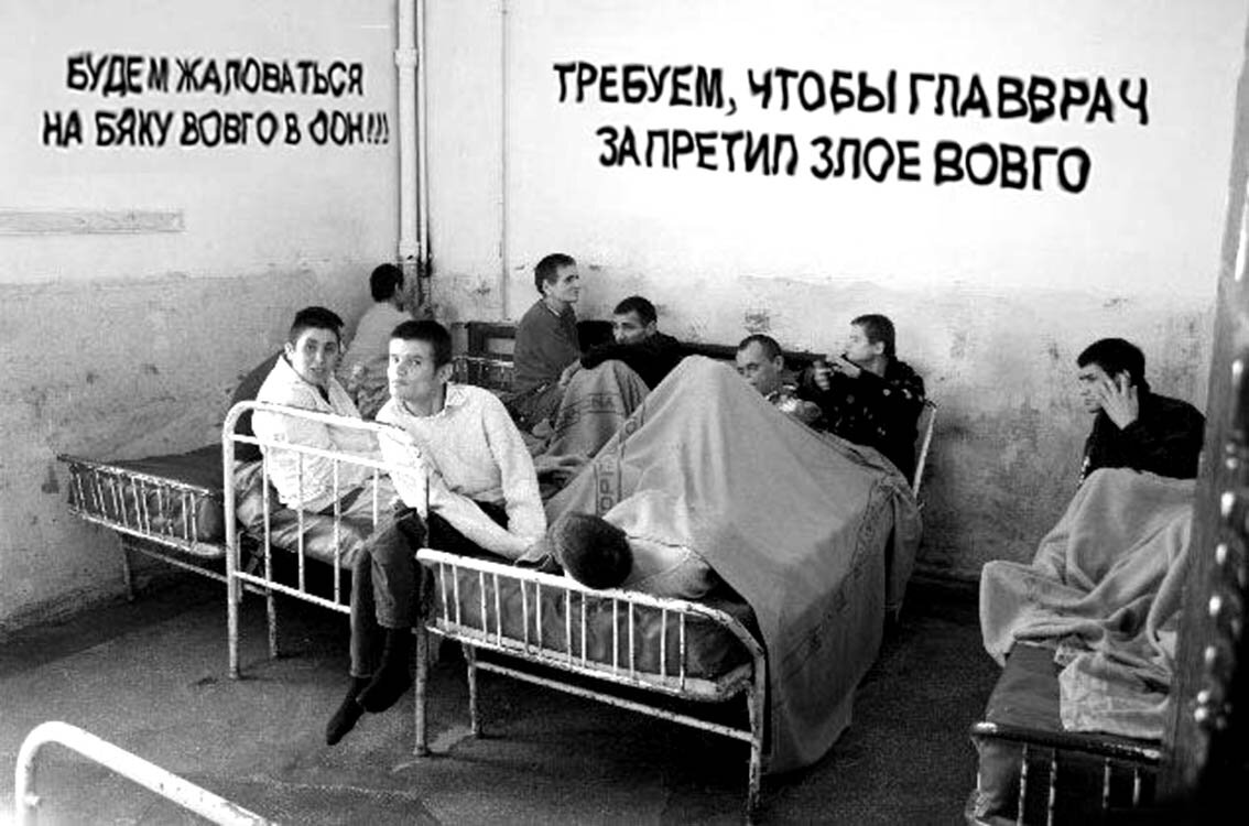 яндекс картинки 