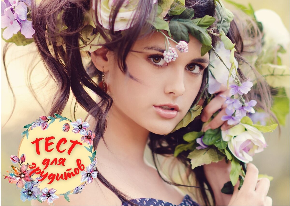 Источник изображения: pixabay.com, дизайн автора публикации