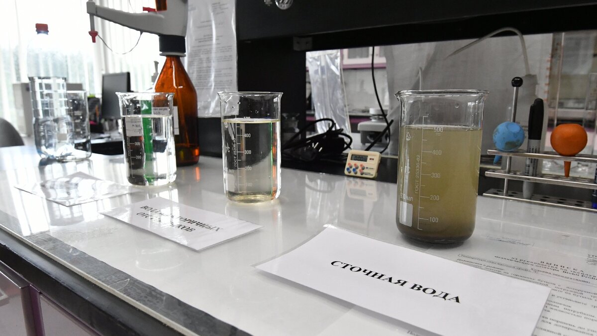 Фото: РИА Новости/Михаил Воскресенский