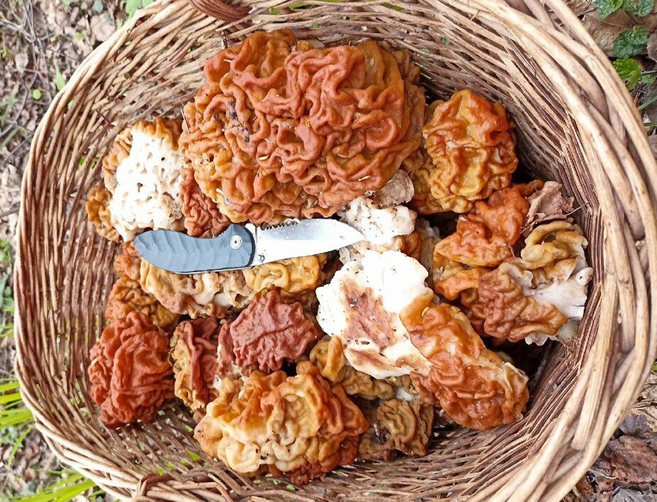 Фото: Александр Пастухов