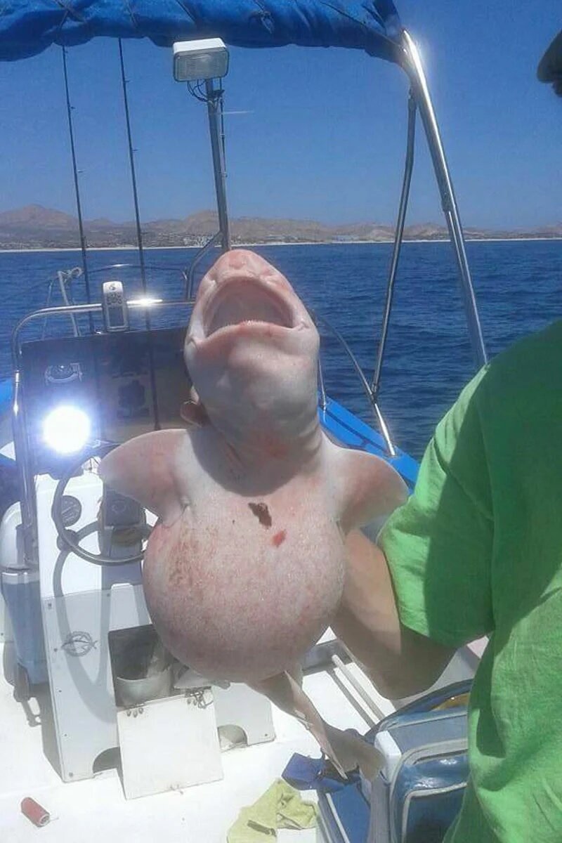 Источник: yandex.ru 