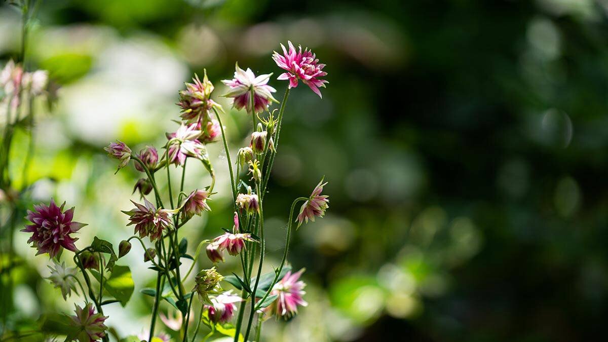    Фото: Анна Темнышова / Вечерняя Москва