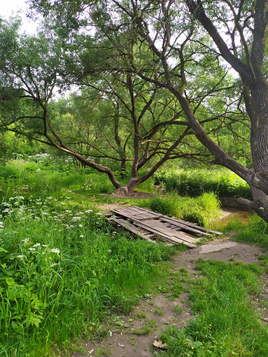 Дорожка и мостик через речку.
