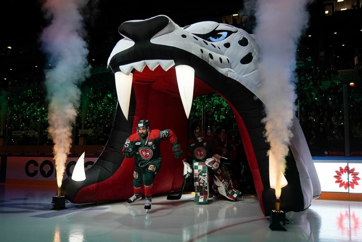 Казанцы борются за попадание в плей-офф, занимая со звездным составом скромное седьмое место в таблице Восточной конференции КХЛ. Фото: ak-bars.ru