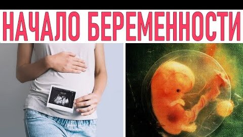 Беременность 3 недели описание и фото — Евромедклиник 24