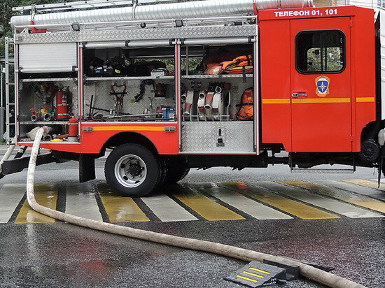   Наталья Мущинкина