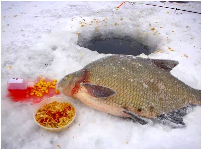 Зимняя рыбалка в декабре