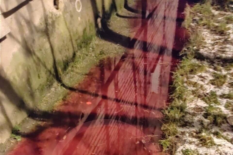     Зловонные кровавые реки обнаружили вблизи жилых домов. Фото: vk.com/gorodkola51