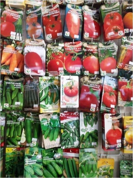 Ассортимент семян томатов и огурцов
