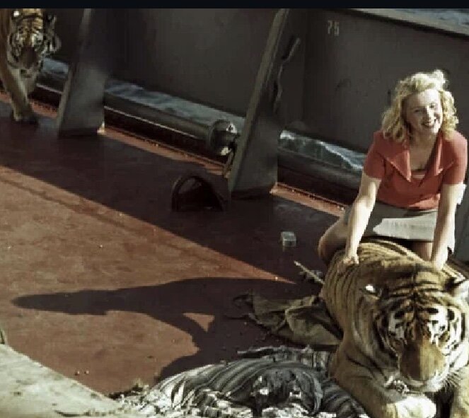 Фото из интернета 