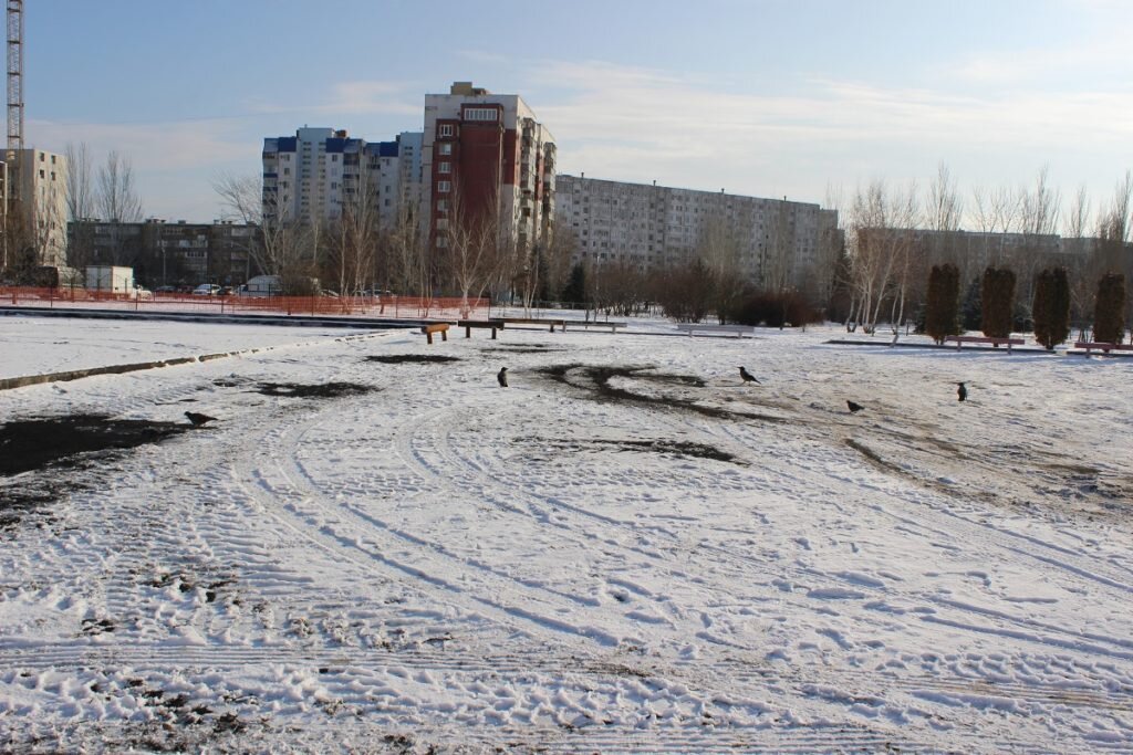      В Волжском завершен разбор завалов сгоревшего рынка на территории, принадлежащей Наталье Джафаровой
