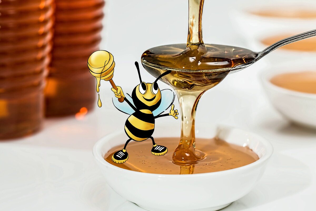 Антибактериальные свойства мёда