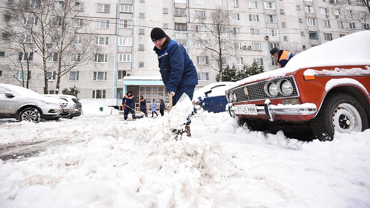    Фото: Пелагия Замятина / Вечерняя Москва