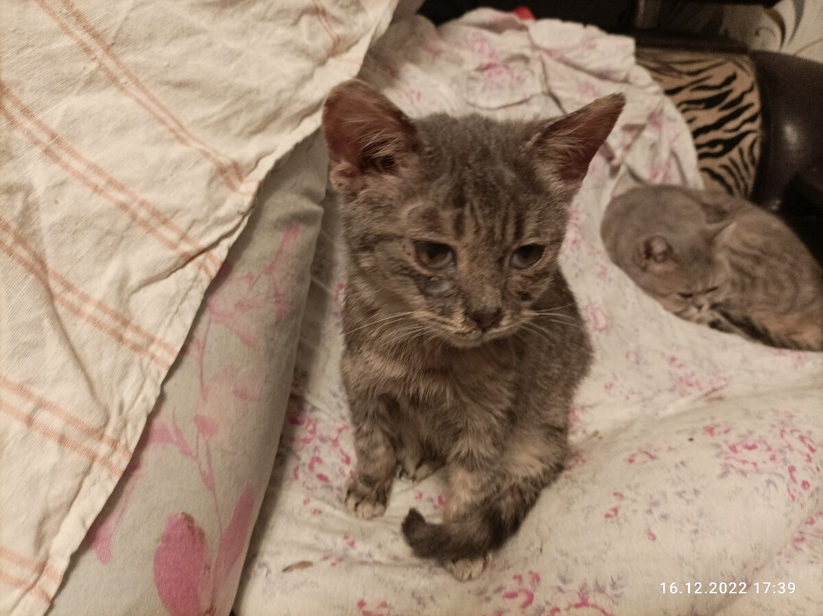 Танечка. Вдали Кнопочкин. 