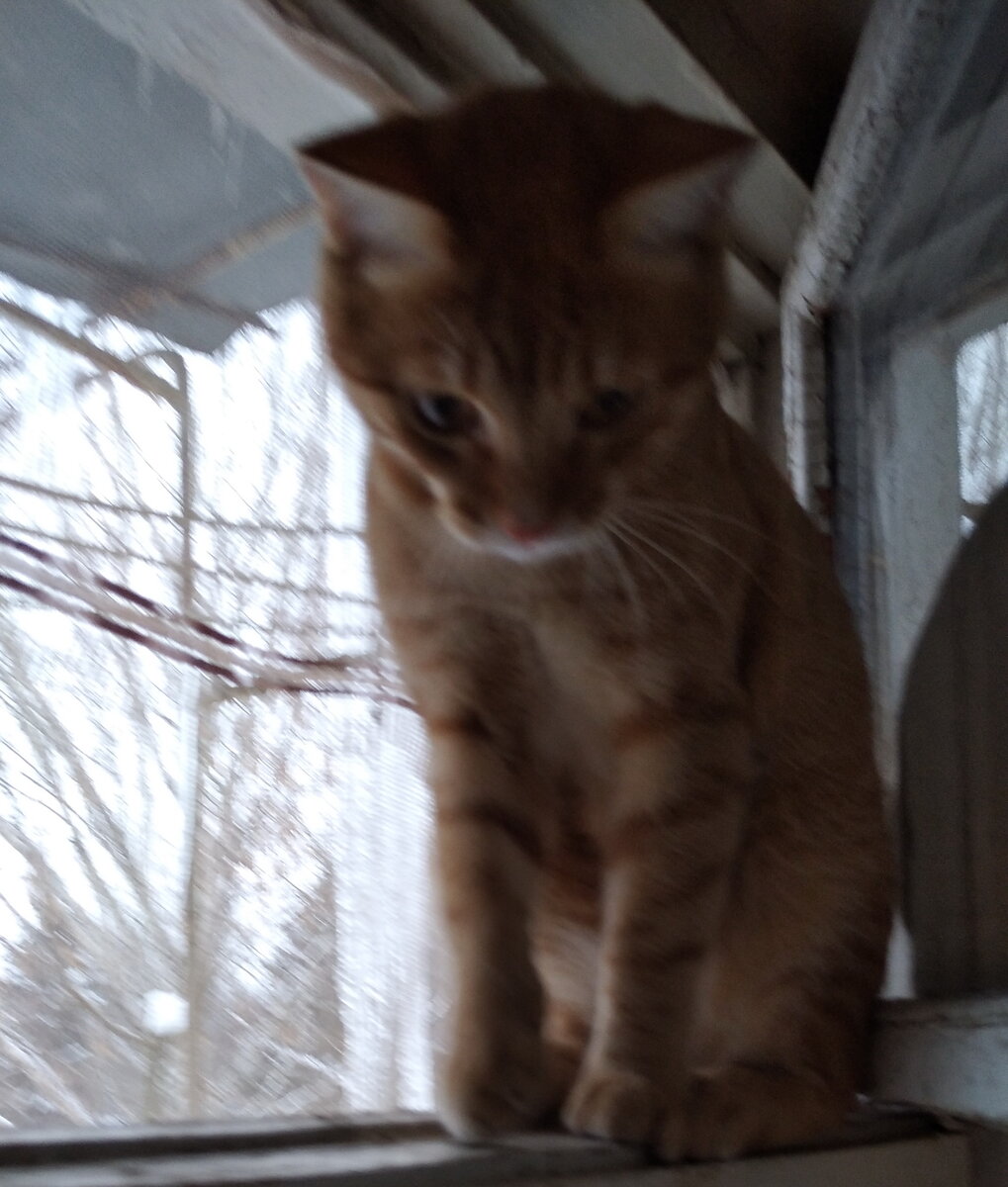 Личное  фото.