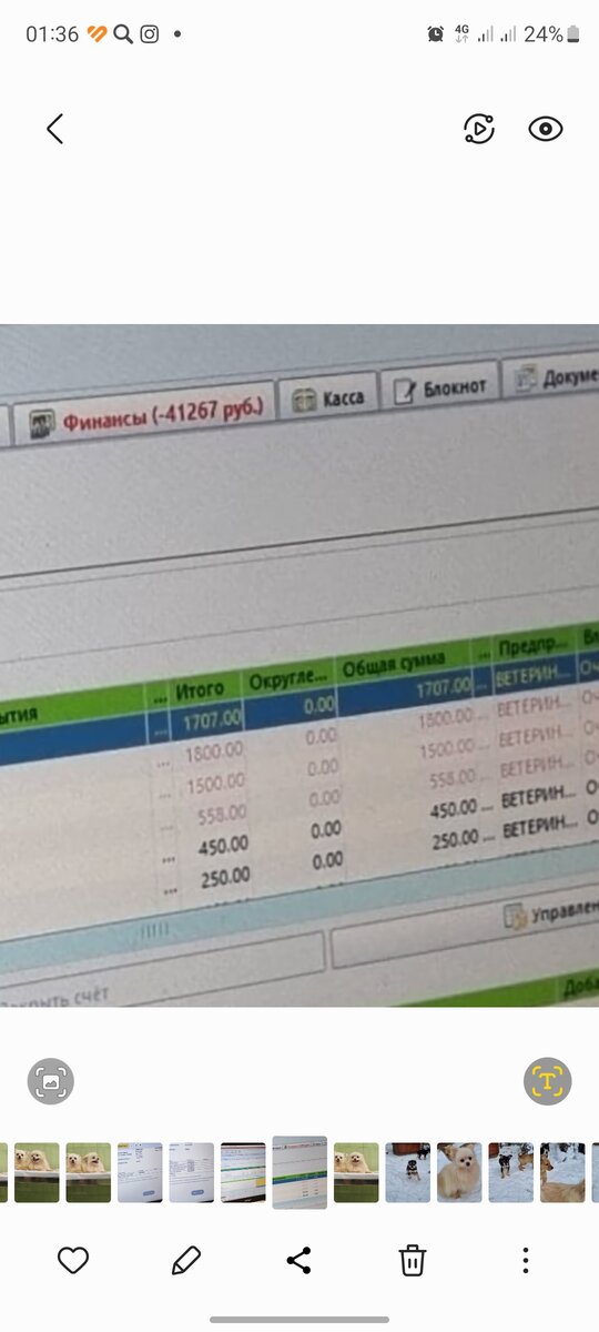 Это сумма последнего долга который мы фоткали. После этого был приём с Асей,сдали мазки на грибок, вырезали жировик на спине.