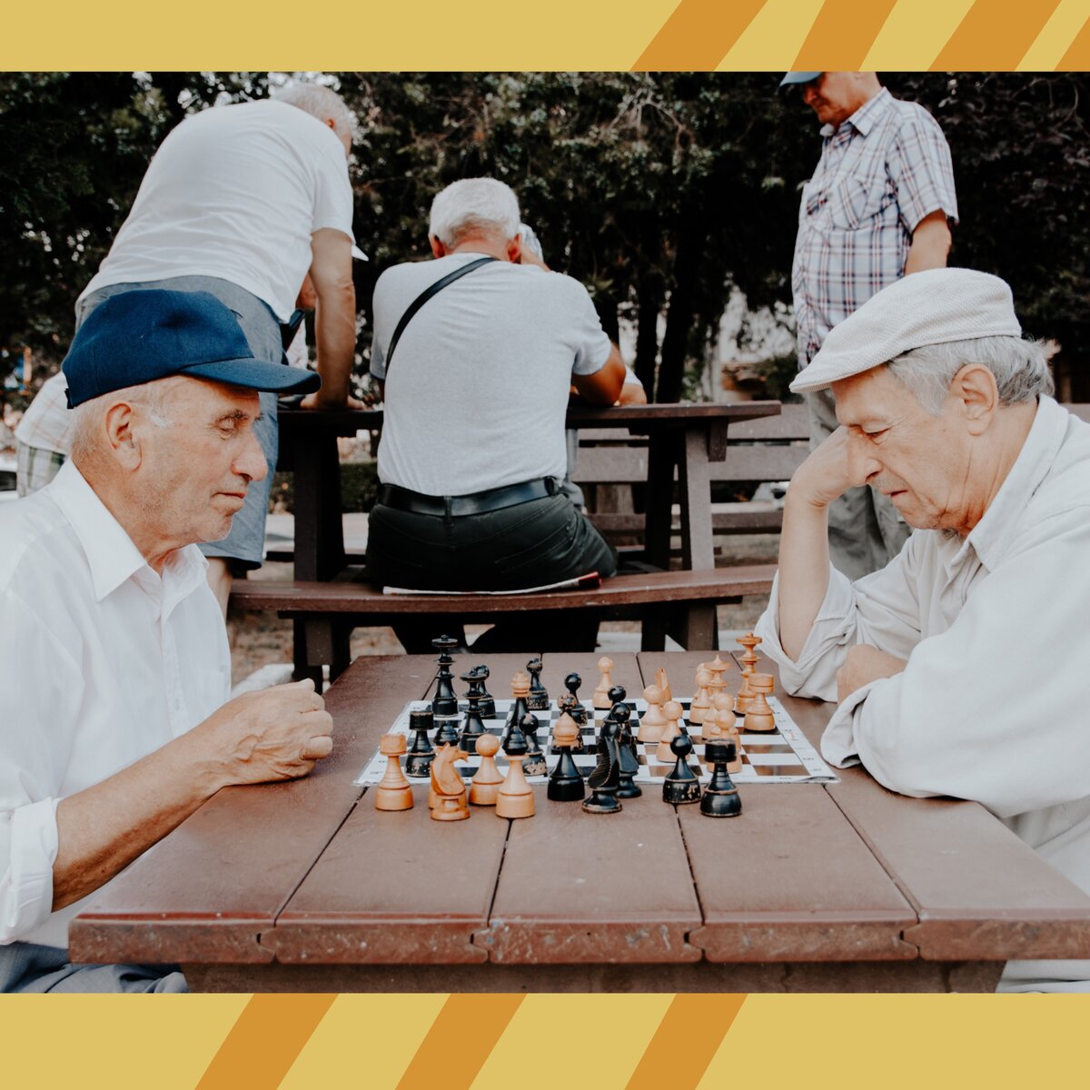 Ребятки ищут льготы. Коллаж автора