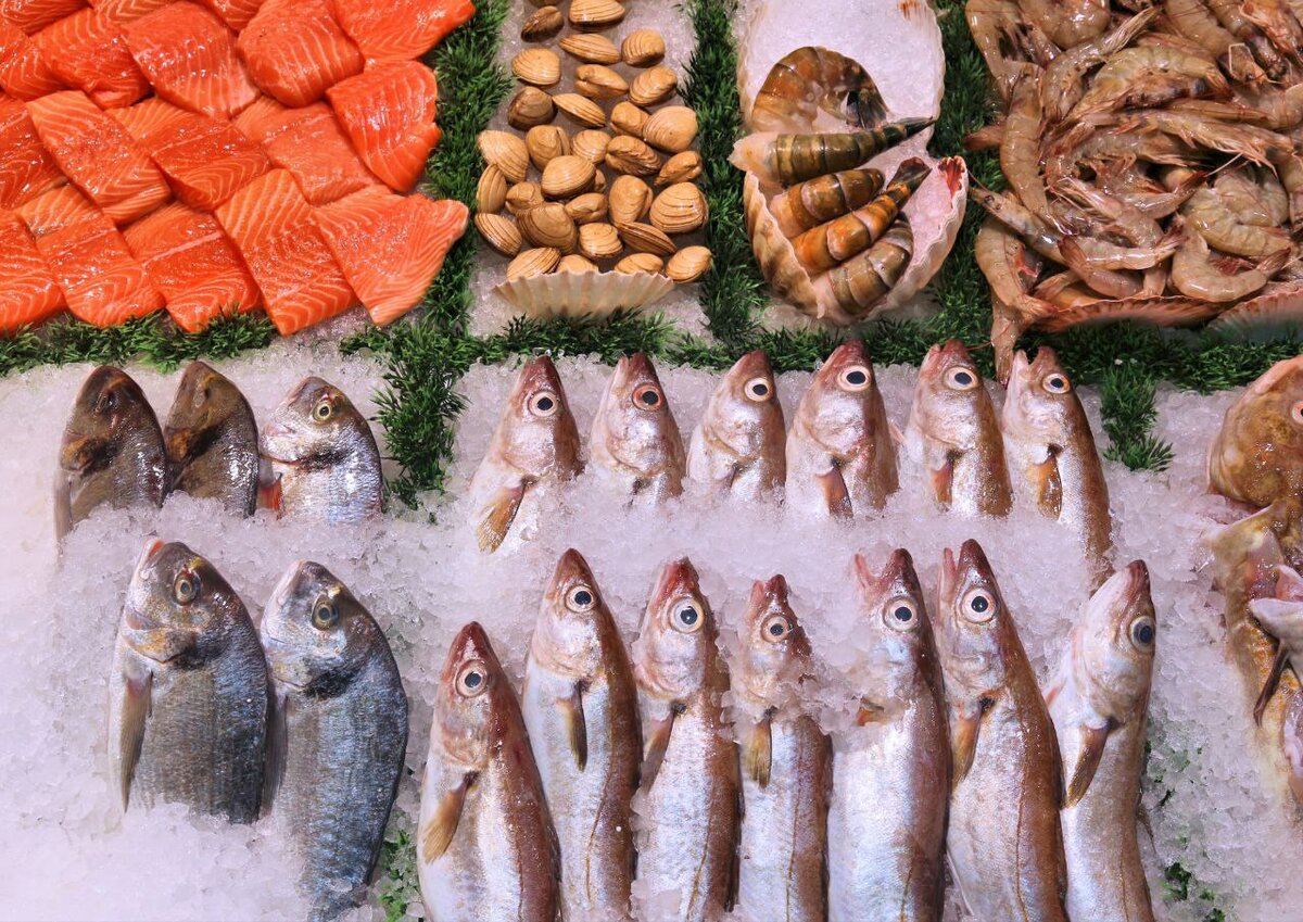Рекомендации по выбору свежей и замороженной рыбы