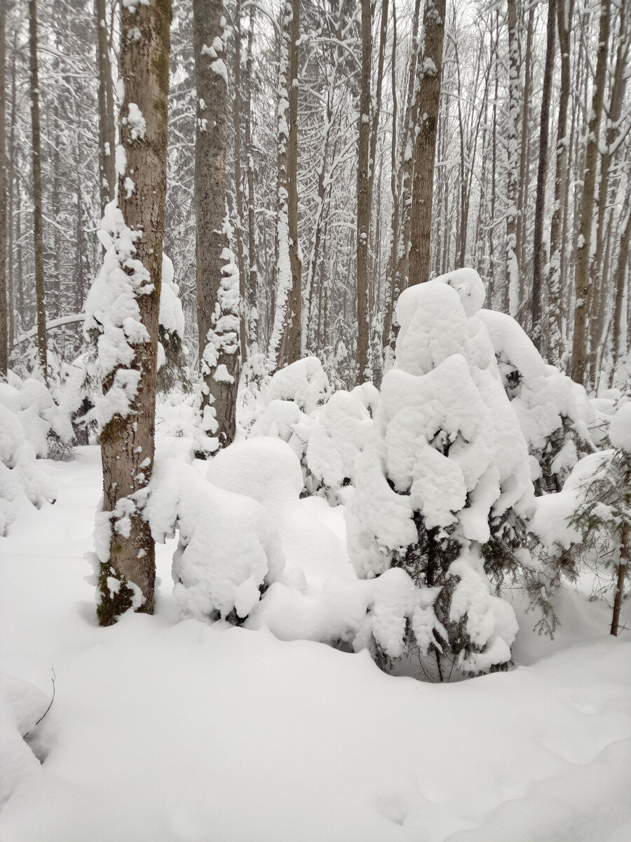 Он пахнет снегом и тишиной!