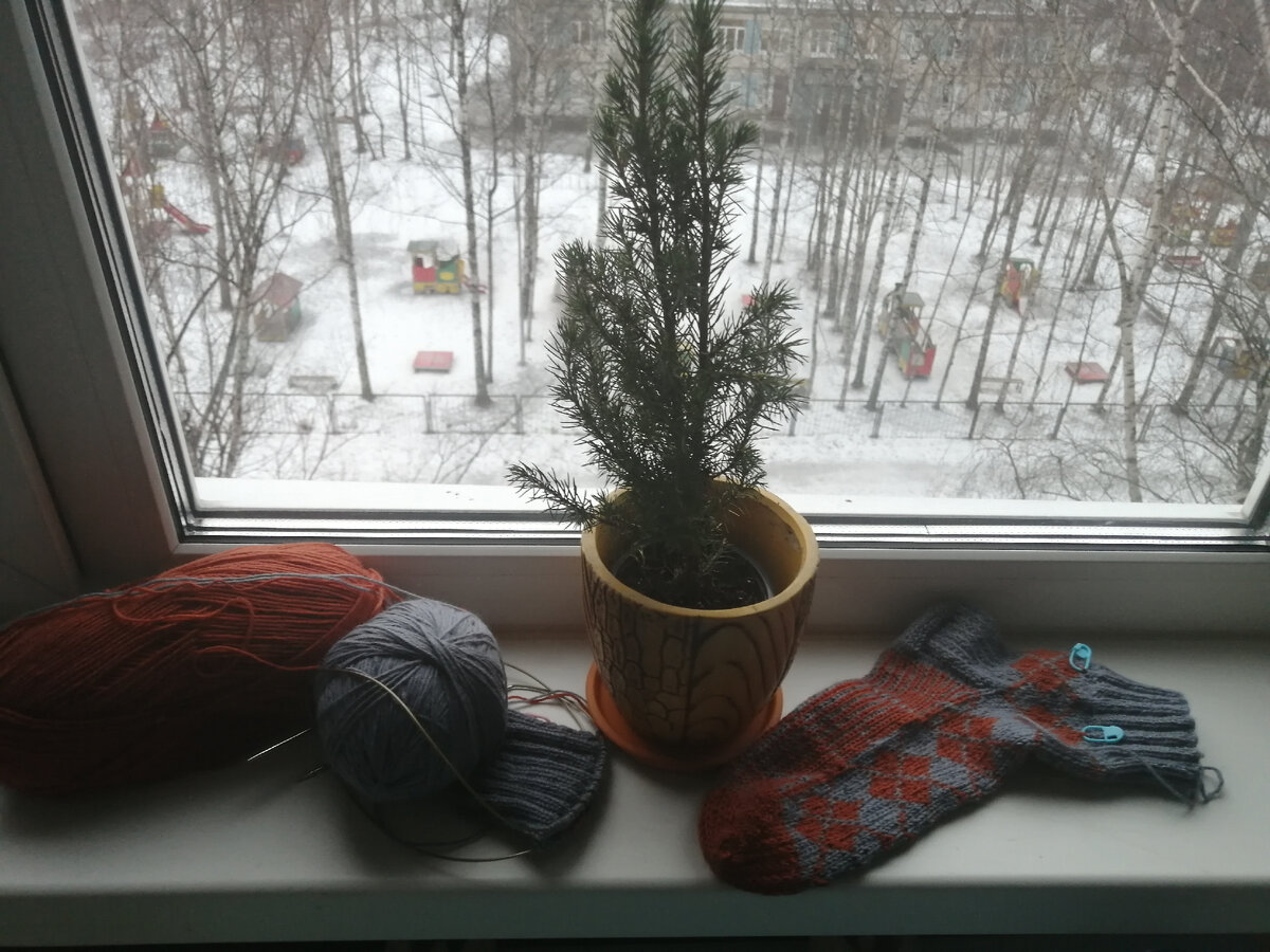 Один готов. Начала второй. Пасмурно. Пытаюсь хотя бы на подоконнике поймать дневной свет...