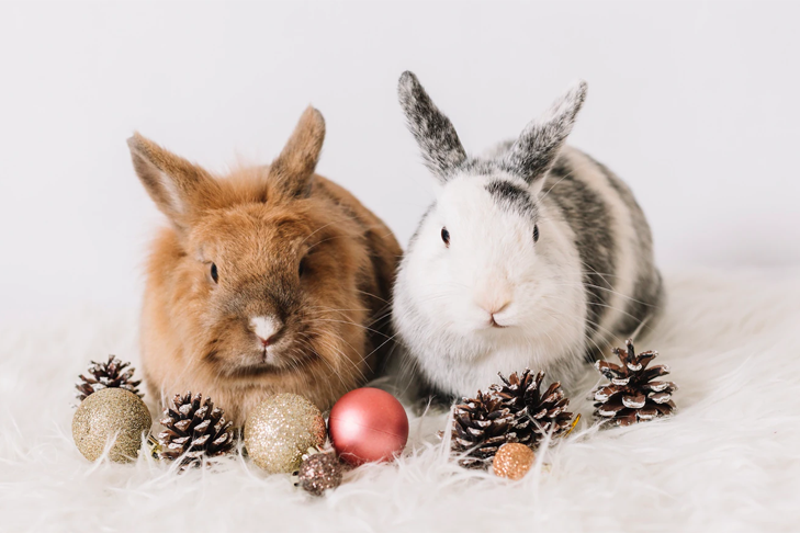    Фото: ru.freepik