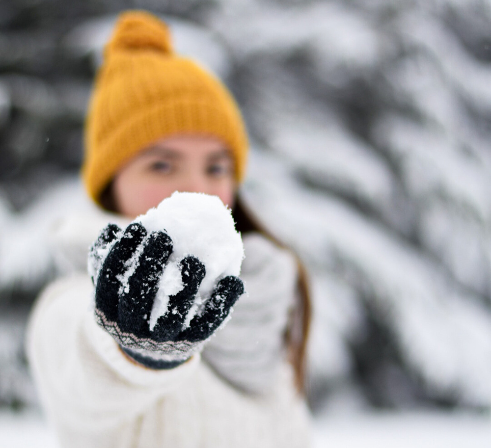     Раки, хорошенько отдохните на каникулах Фото: Unsplash.com