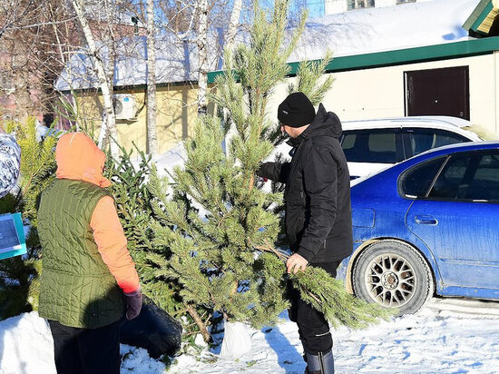     Фото: barnaul.org