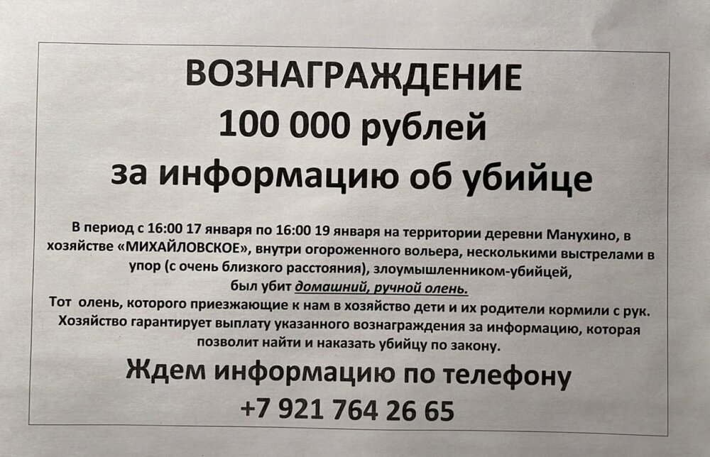   Фото: Из архива