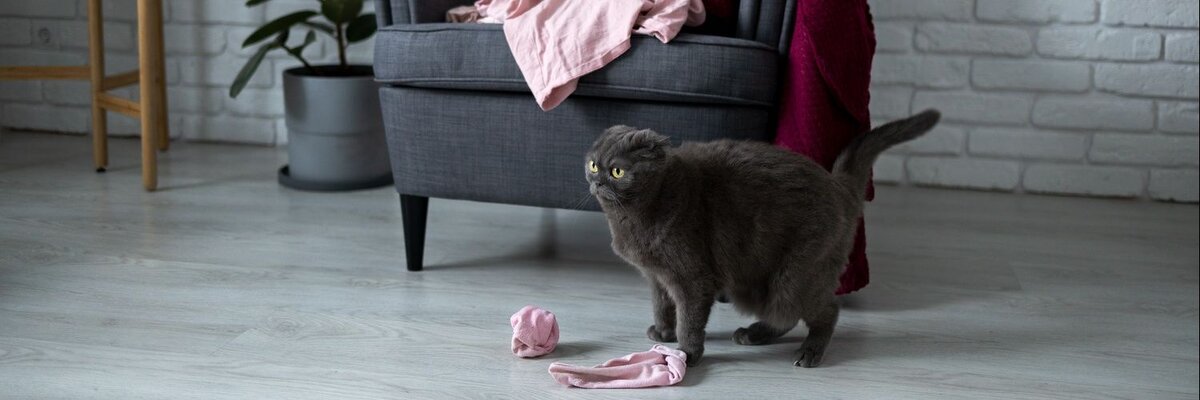 Источник: Freepik