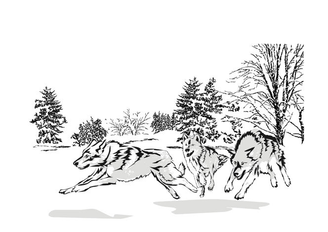 «Идёт охота на волков, идёт охота!...»