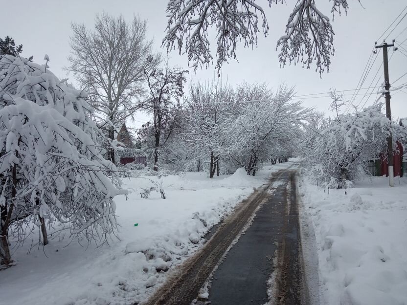 Собственное фото автора. Наша улица