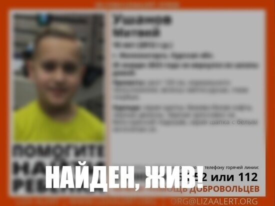     Фото: Поисковый отряд "ЛизаАлерт" Курской области