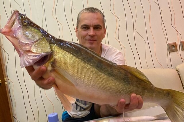    Фото: Рыбанутые. Томск